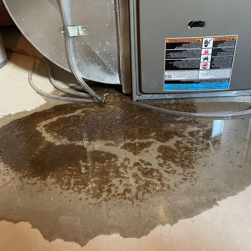 Pipe Burst and Leak Restoration in Fair Lawn, NJ